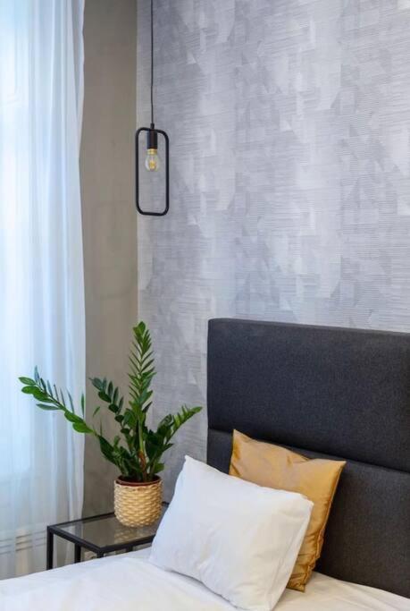 Luxurious Studio Located In The Heart Of ブダペスト エクステリア 写真